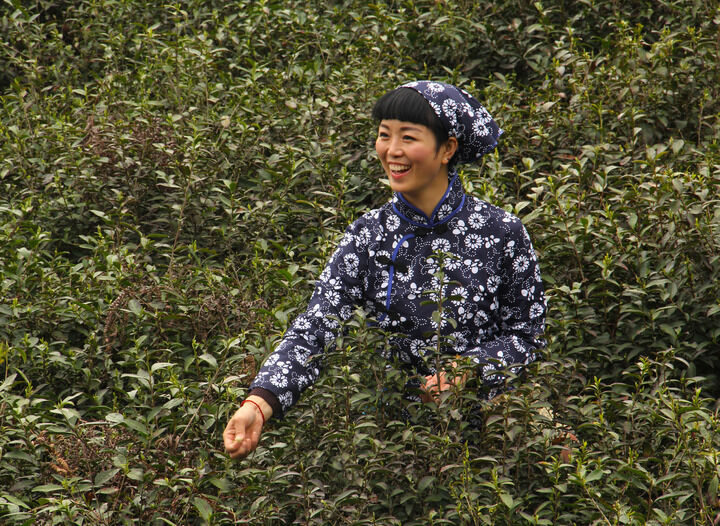 伊人app黄色永久 排行5